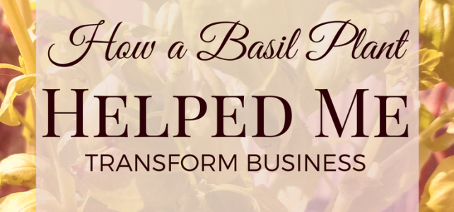 How A Basil Plant Helped Me Transform Business a basil plant helped me transform business