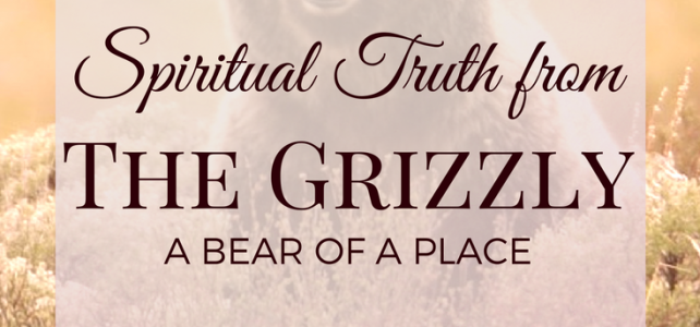 Spiritual Truth from the Grizzly – A Bear of a Place Spiritual Truth from the Grizzly - A Bear of a Place
